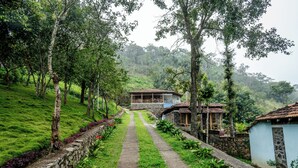 A pathway leading to a rustic house surrounded by lush greenery and stone walls.