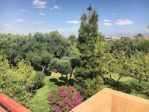 Parco della struttura