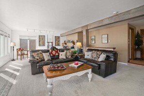 TV, fireplace, video games, DVD player