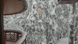 A snowy outdoor scene with a wooden deck and snow-covered trees. - The Trail's Edge / "Captain's Quarters" Is A Gorgeous Retreat, In Any Season.  (Duluth)