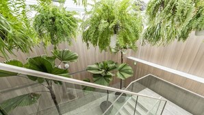A modern indoor space with a glass staircase, wooden walls, and hanging green plants. - Inhouse Hotel Grand (Taichung)
