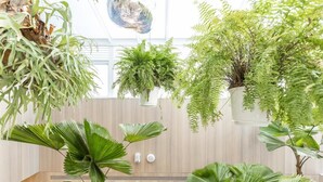 A room with a wooden wall, large green plants, and a hanging light fixture. - Inhouse Hotel Grand (Taichung)