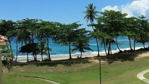 A beach view with palm trees and a building with a tiled roof. - VillaNicky Rincon, PR 2,800 Sqft Beach Front Oasis  (Rincon)
