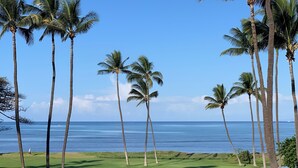 A golf course with palm trees and a view of the ocean.