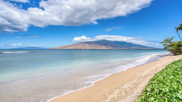 A beach with clear waters, a sandy shore, and a mountain in the background.