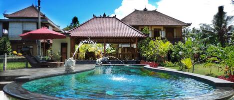 Outdoor pool, pool loungers