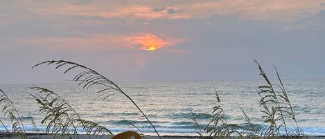 Playa en los alrededores, camastros y toallas de playa