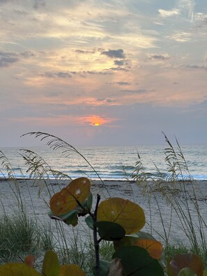 Beach nearby, sun-loungers, beach towels