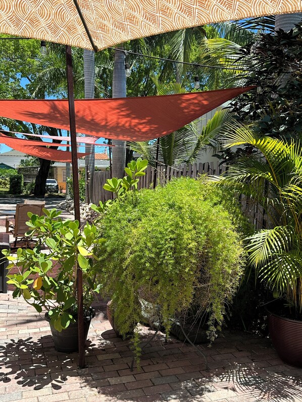 Un patio con un paraguas estampado, plantas en macetas y un camino de ladrillo.