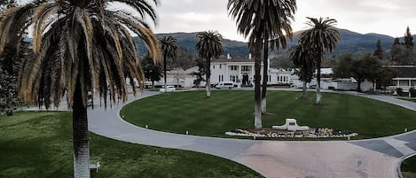A well-maintained lawn with palm trees and a paved walkway leading to a white building with a formal entrance.