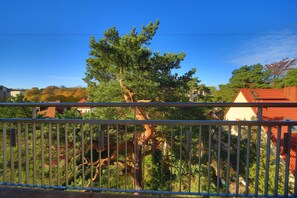 A tree with a thick trunk and dense foliage, a metal fence, and buildings with red roofs in the background. - Hotel Polaris III (Swinoujscie)
