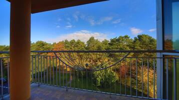 Habitación doble, balcón | Balcón