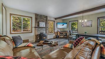 TV connectée, cheminée, lecteur de DVD, livres