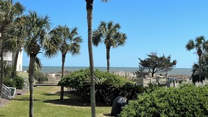 Une propriété située sur la côte, agrémentée de palmiers, d’une pelouse verdoyante et offrant une vue sur l’océan.