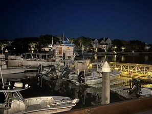 Marina - Beautiful Wild Dunes ! Relax and Enjoy the Natural Coastal Beauty ! (Isle of Palms)