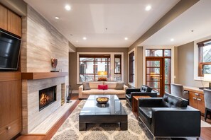 Télévision, cheminée, chaîne hi-fi