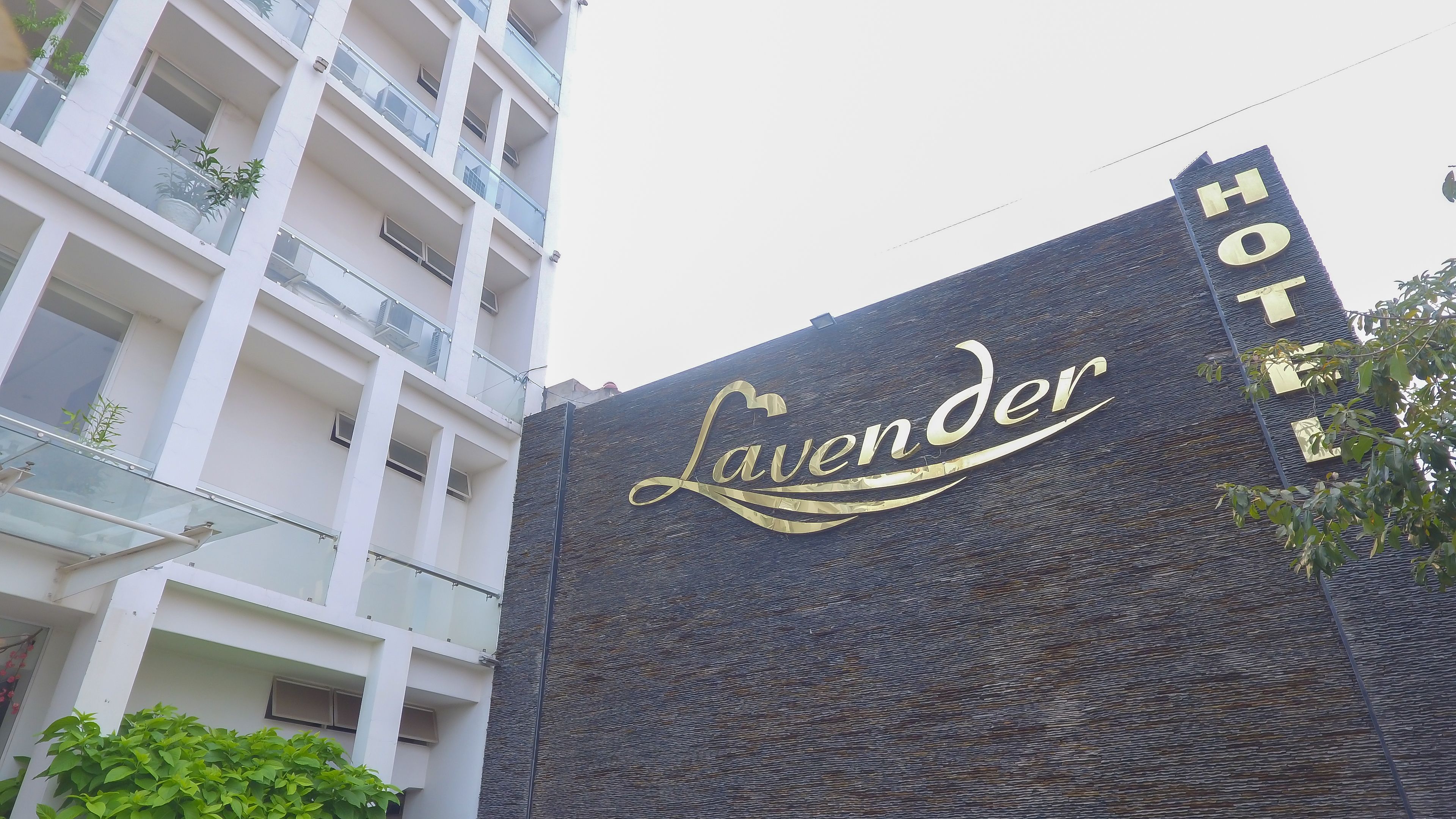 Señal de hotel con el nombre 'Lavender' en letras doradas sobre un fondo texturizado.