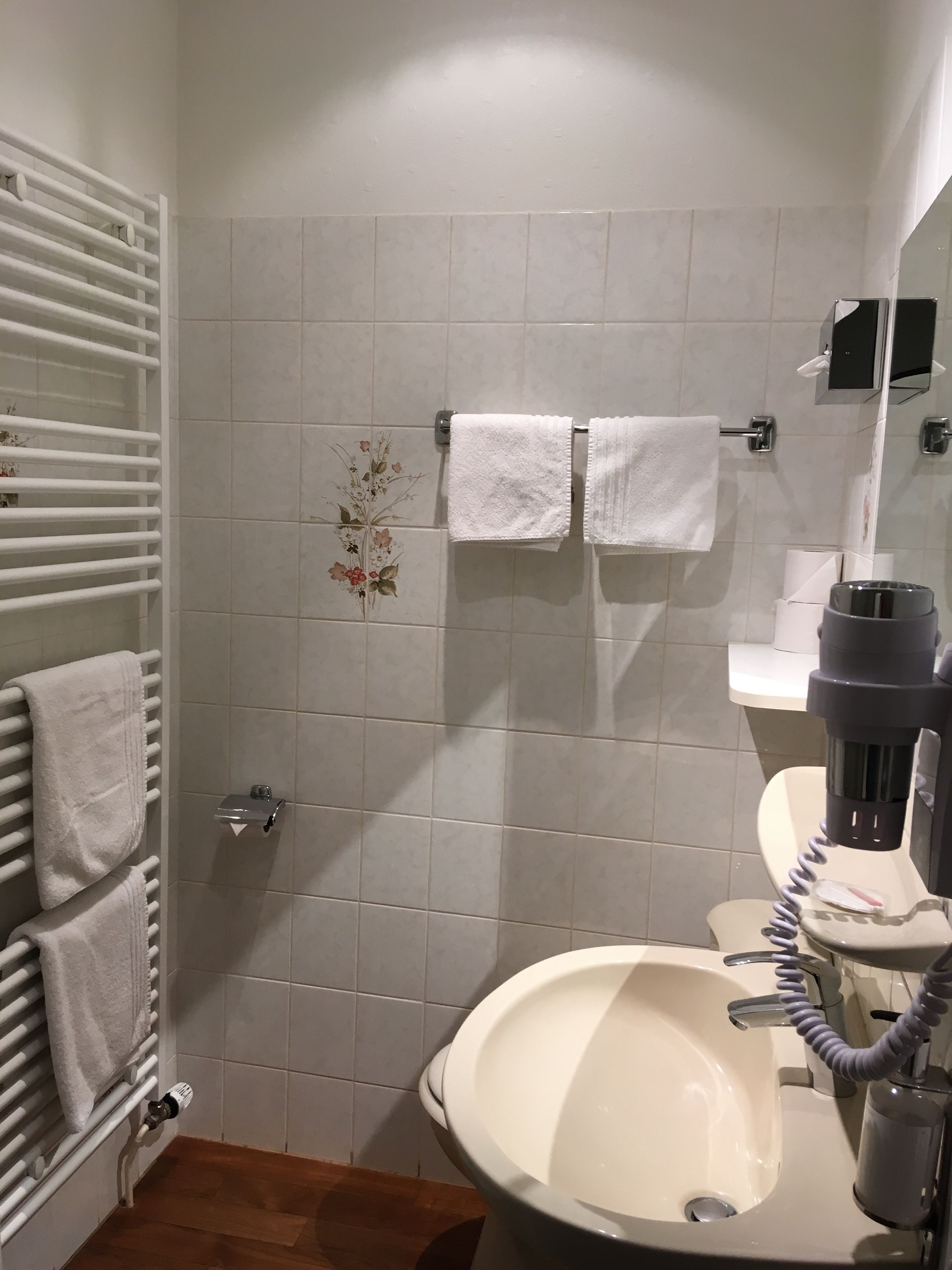 traditional double room (superior) | bathroom | shower, hair dryer
