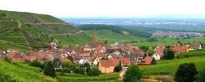 A village with traditional houses, a prominent church, and vineyards. - Hôtel de l'Ange (Niedermorschwihr)