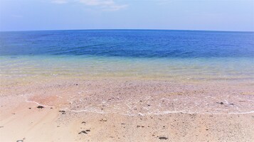 Vista desde la propiedad