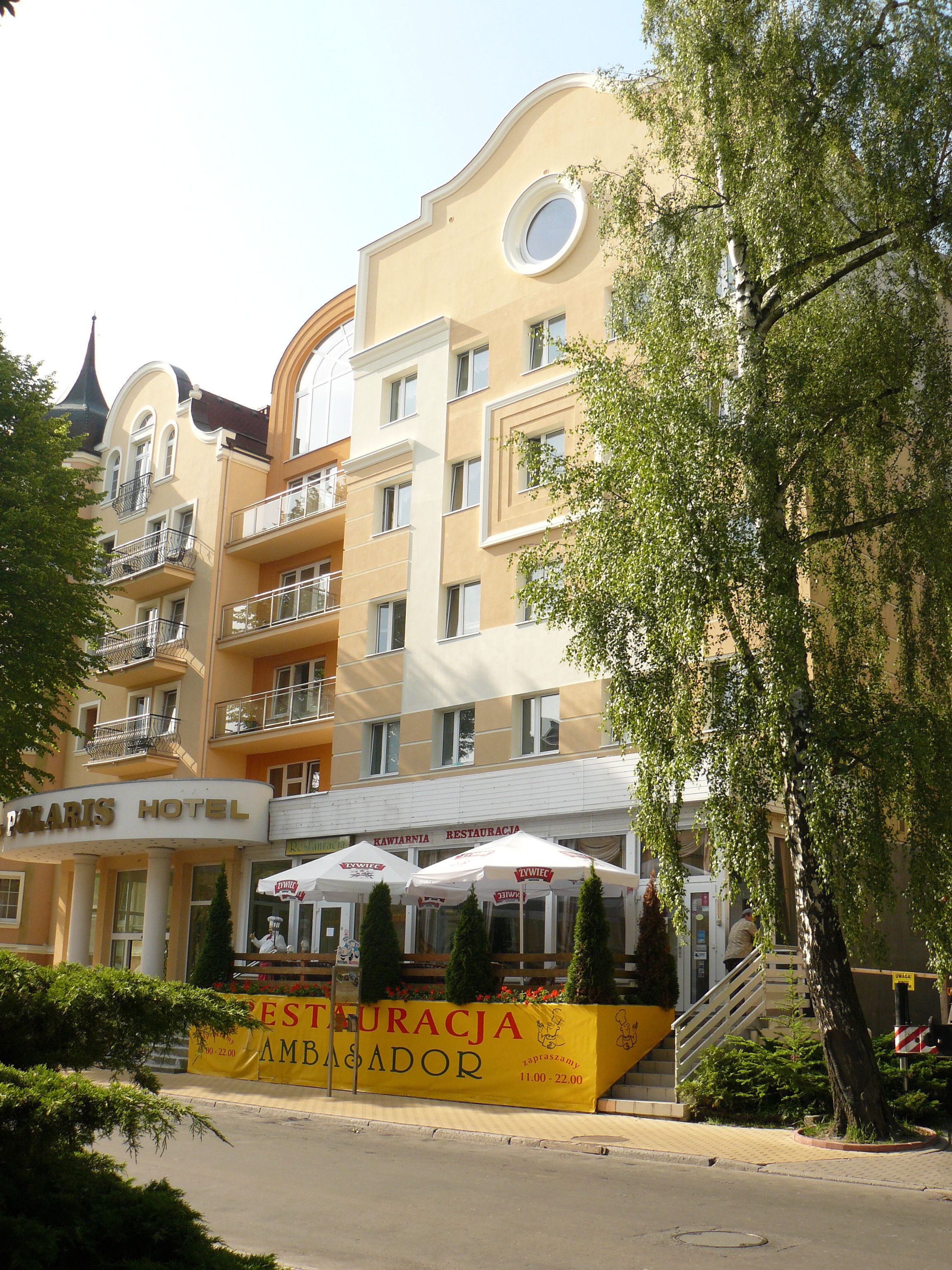 テラス / パティオ