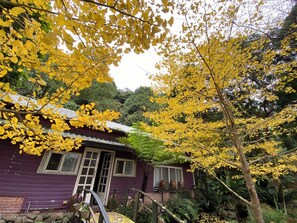 Exterior - Xianshan Homestay (Shitan)