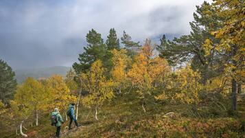 Overnattingsstedets uteområder