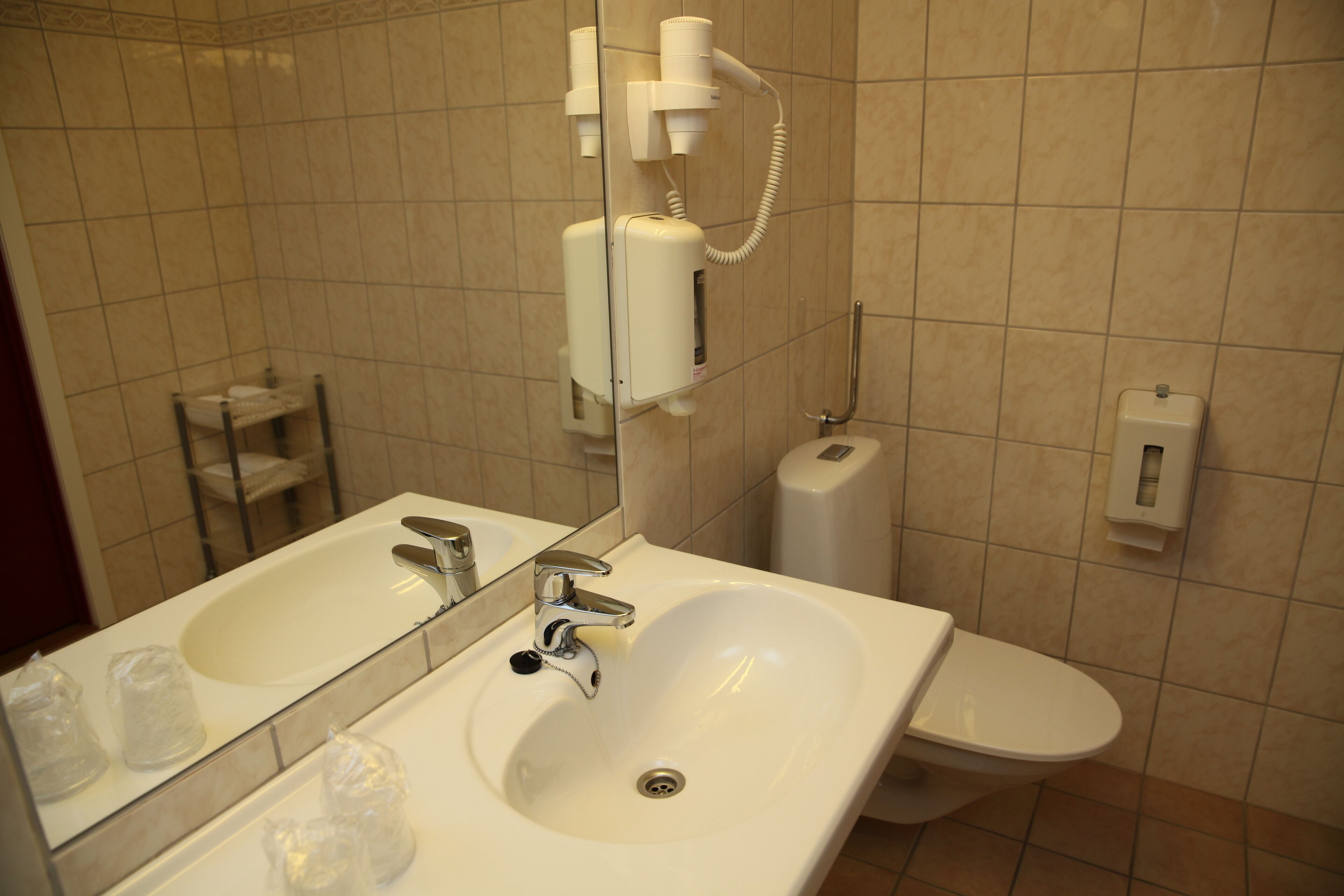 A bathroom with a sink, mirror, and toilet.