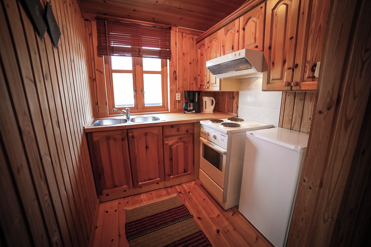 A compact kitchen with wooden cabinets, a stove, a sink, and a refrigerator.