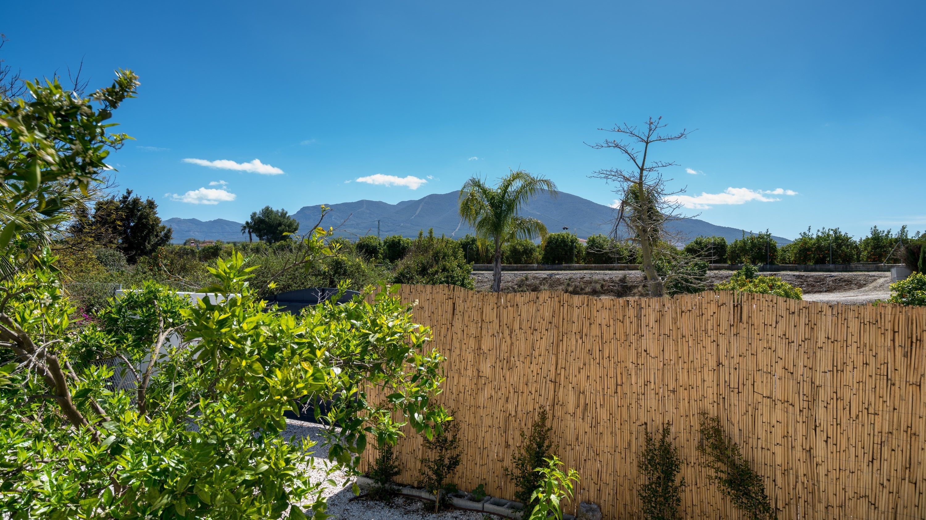 Photo - Casa Baliza, adults only