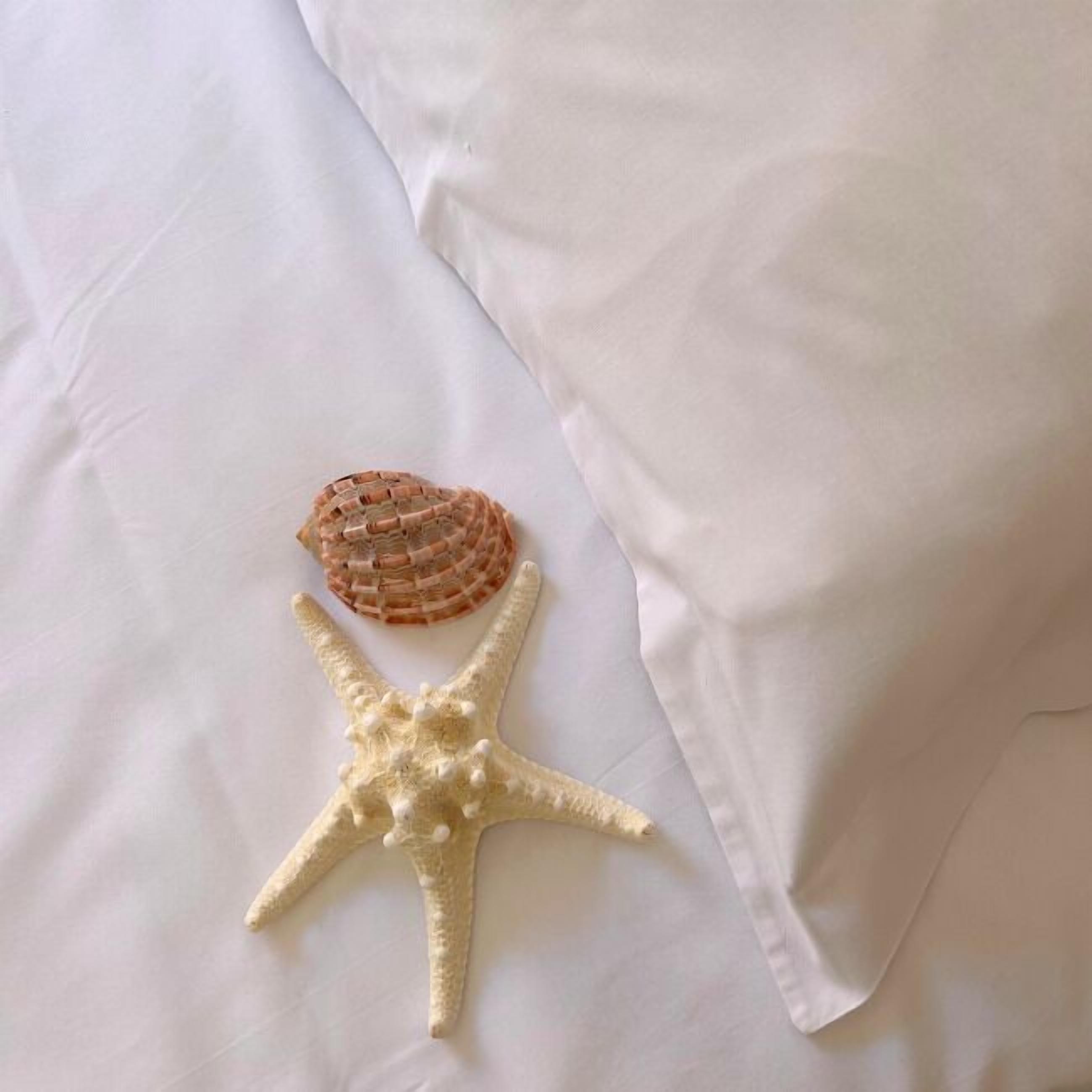 A bed with white sheets and two decorative shells.