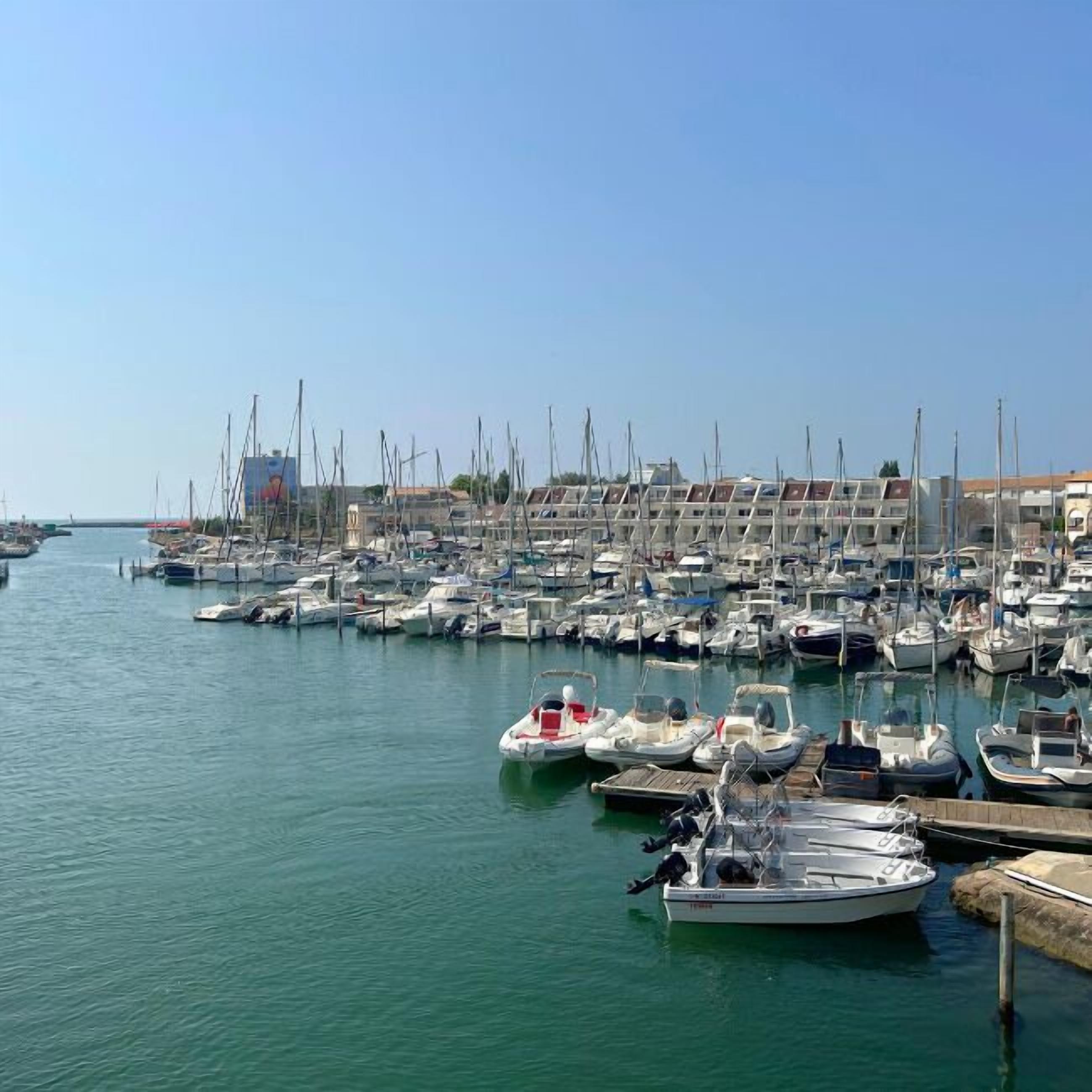 Un puerto deportivo con numerosas embarcaciones amarradas, cielo despejado y edificios al fondo.
