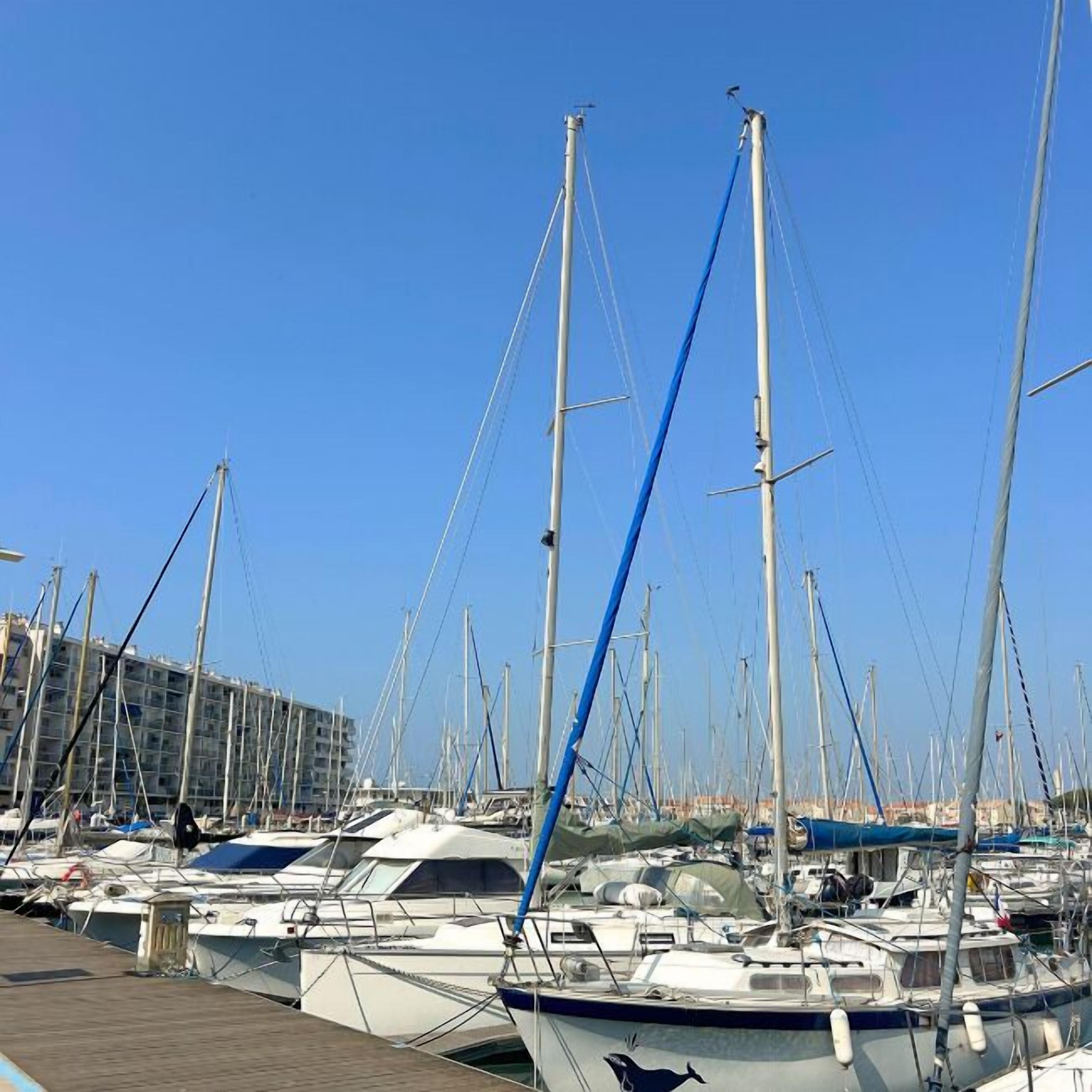 A marina with multiple sailboats docked, a wooden walkway, and a building in the background.