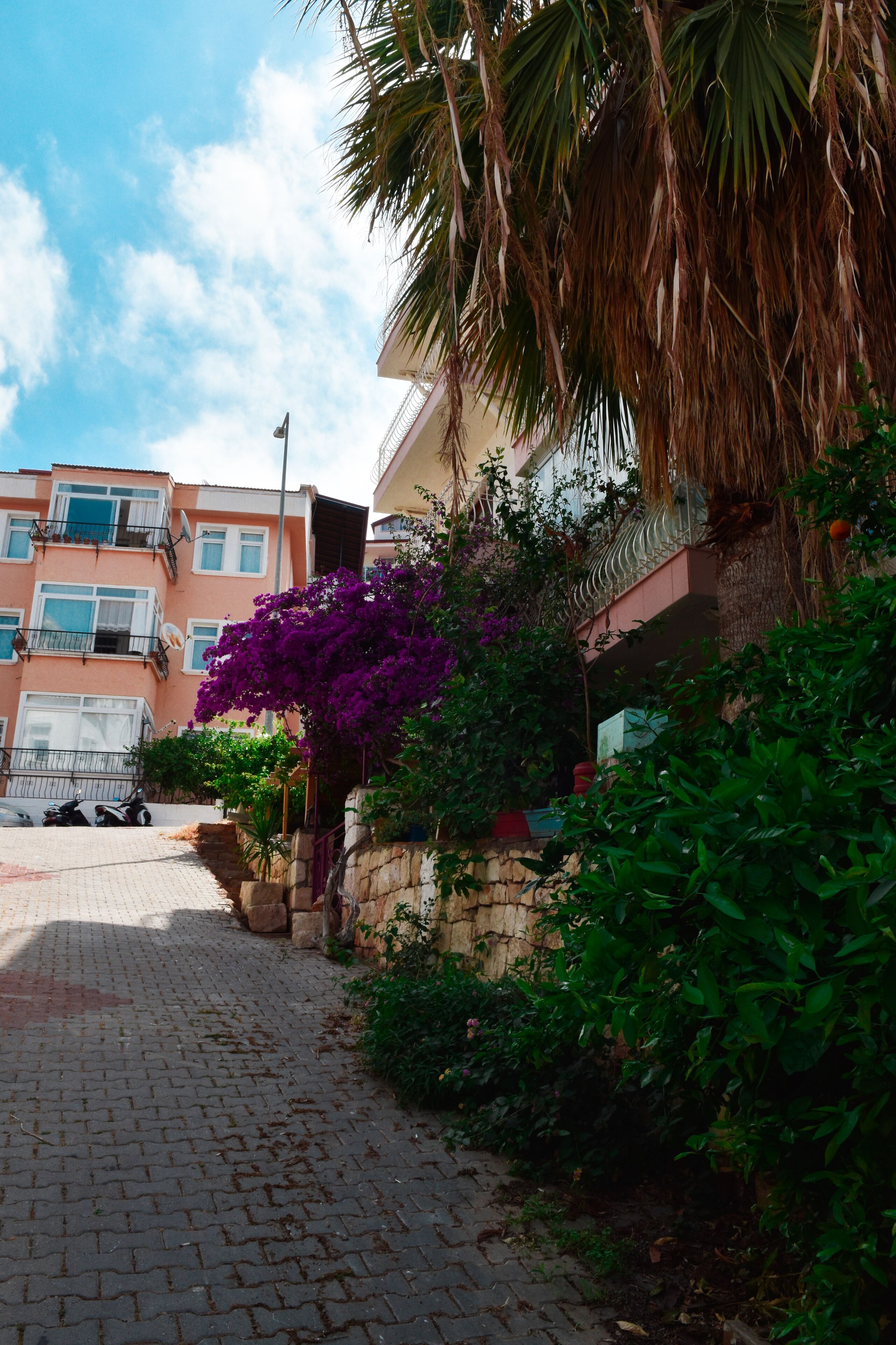 A paved pathway leading to a building with balconies, surrounded by lush greenery and purple bougainvillea.