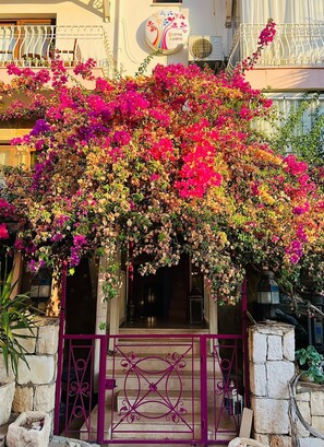 Mặt tiền nơi lưu trú