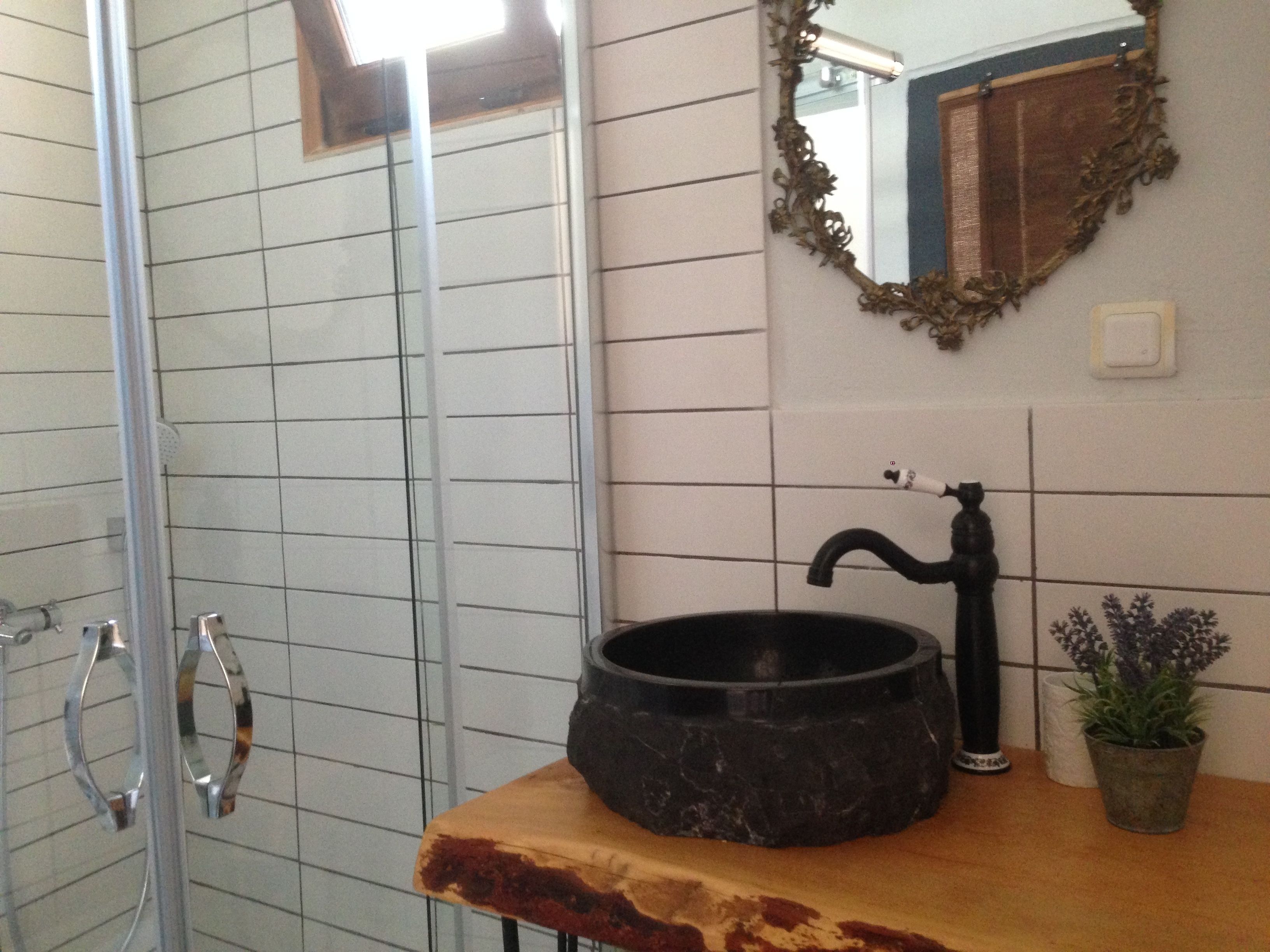 A bathroom with a glass shower enclosure, a sink with a black basin, and a potted plant.