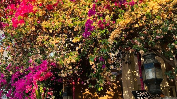 A building with a stone facade, a wrought iron gate, and vibrant bougainvillea flowers. - Smyrna Pansiyon (Kas)