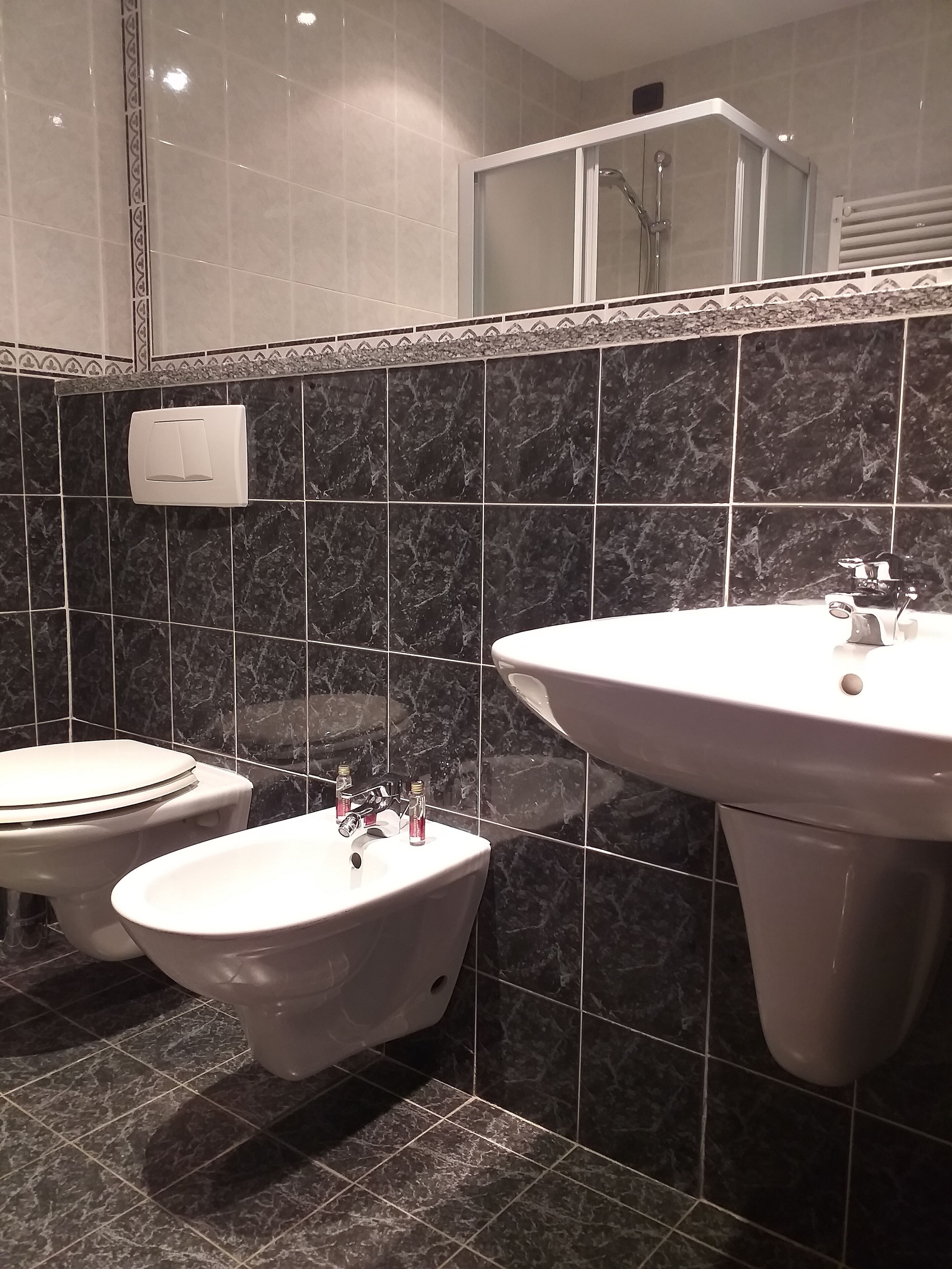 Ein modernes Badezimmer mit zwei Toiletten, einem großen Waschbecken und einer Duschkabine.