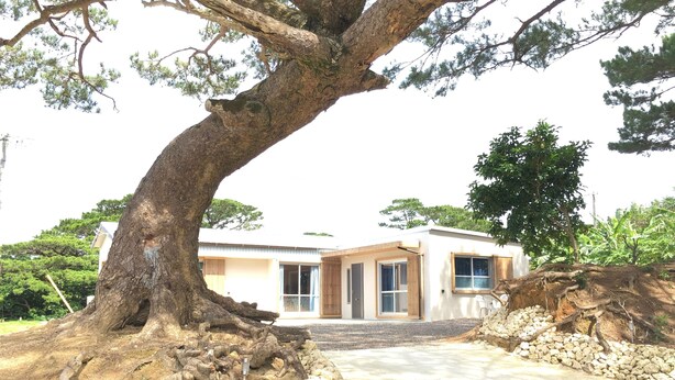A house with a large tree in front, a paved driveway, and a stone wall. - Pension Ishigaki Tomatamatsu (Ishigaki)