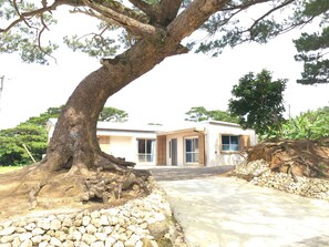 Una casa con un grande albero di fronte, un vialetto lastricato e un muro in pietra.