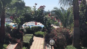 A pathway leading to a pool area surrounded by lush greenery and palm trees.