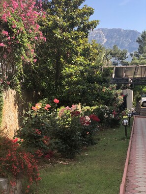 View from property - Hotel Leytur (Fethiye)