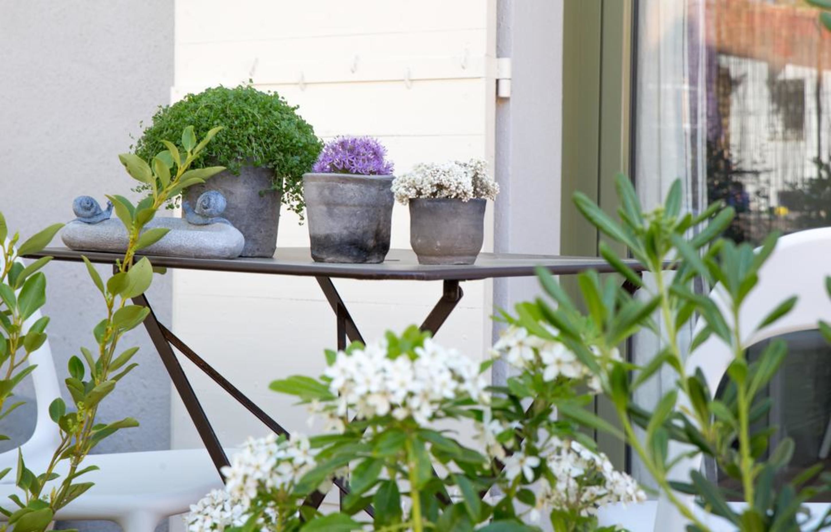 Foto - Chambre d'Hôtes Arima