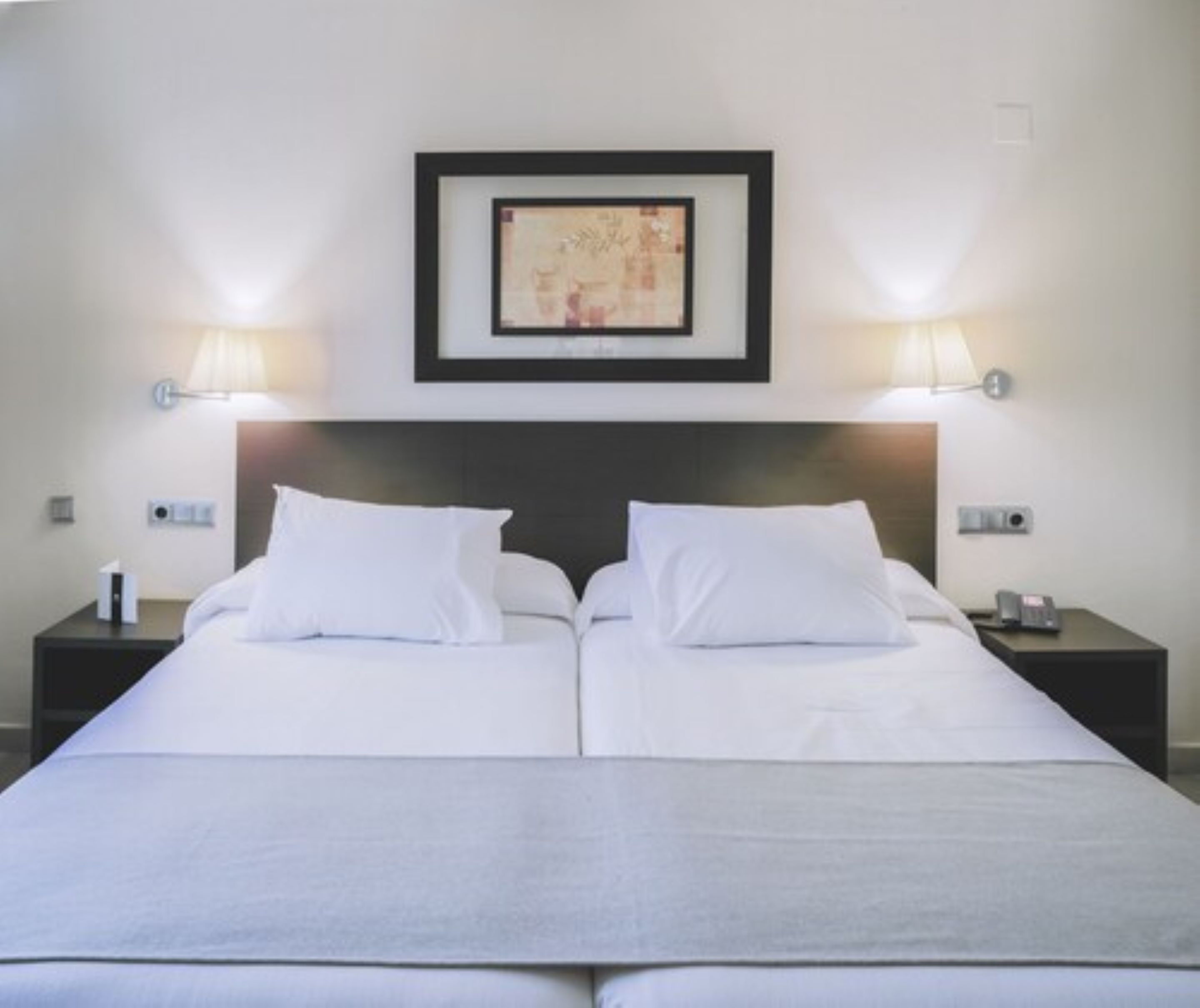 basic single room | view from room