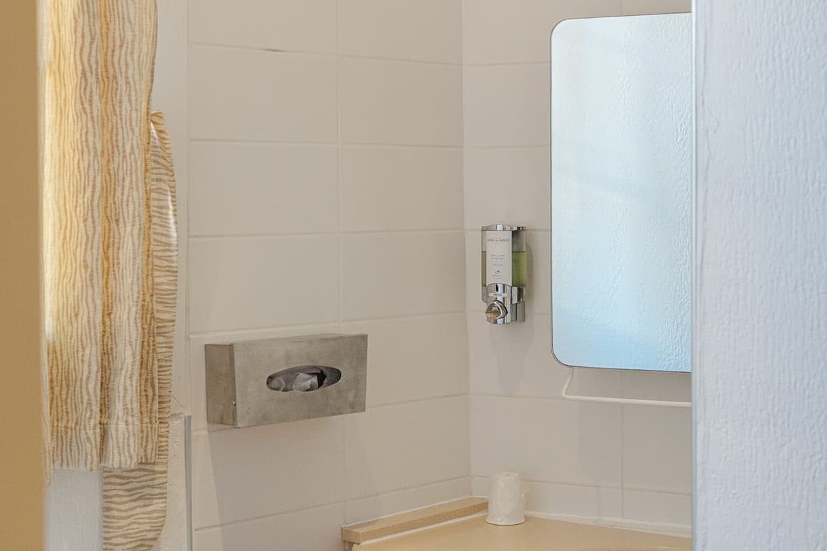 basic single room | bathroom | shower, free toiletries, hair dryer, towels