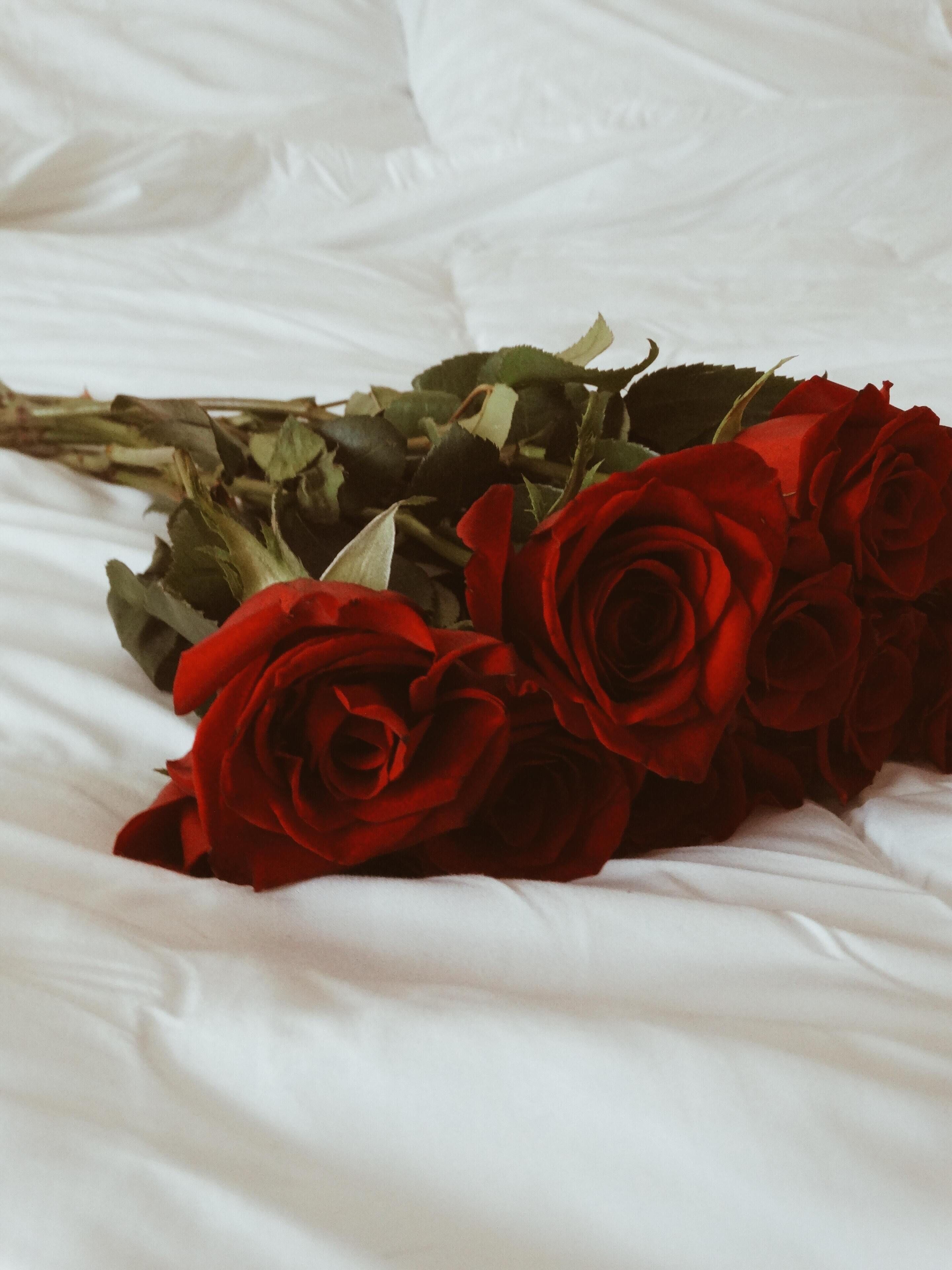 A bouquet of red roses on a white bedspread.