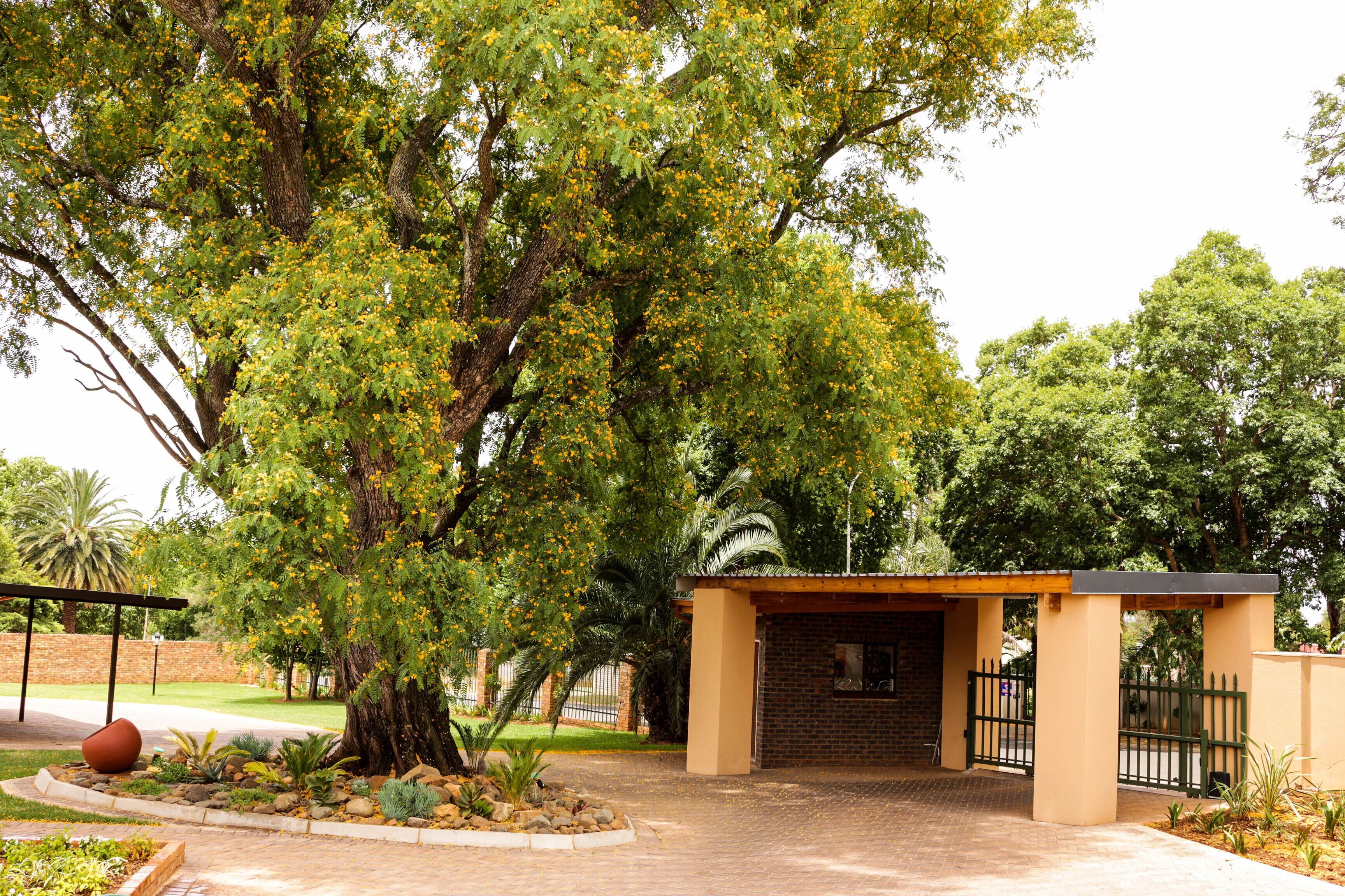 Zona ajardinada con un árbol grande, un edificio de ladrillo y una entrada con portones.