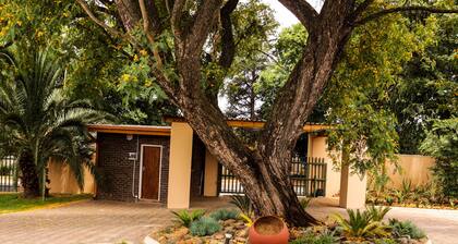 New Haven Guest House