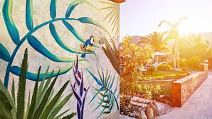A mural with a bird and plants on a building wall, a stone pathway, and a garden with palm trees and plants.