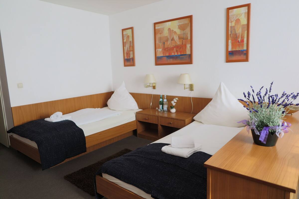 Desk, laptop workspace, blackout drapes, rollaway beds (surcharge)